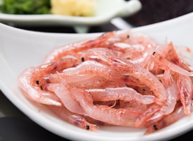 Sakura shrimp